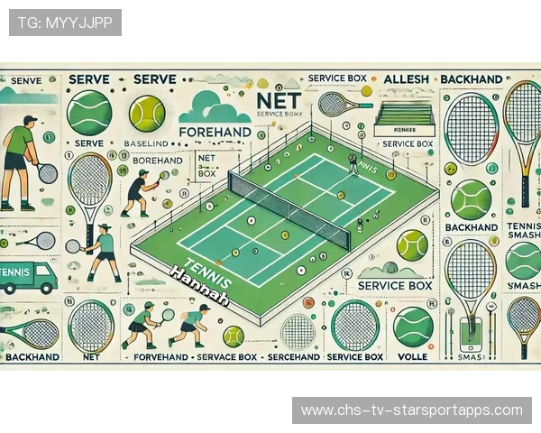 网球比赛技术动作效率可视化分析
